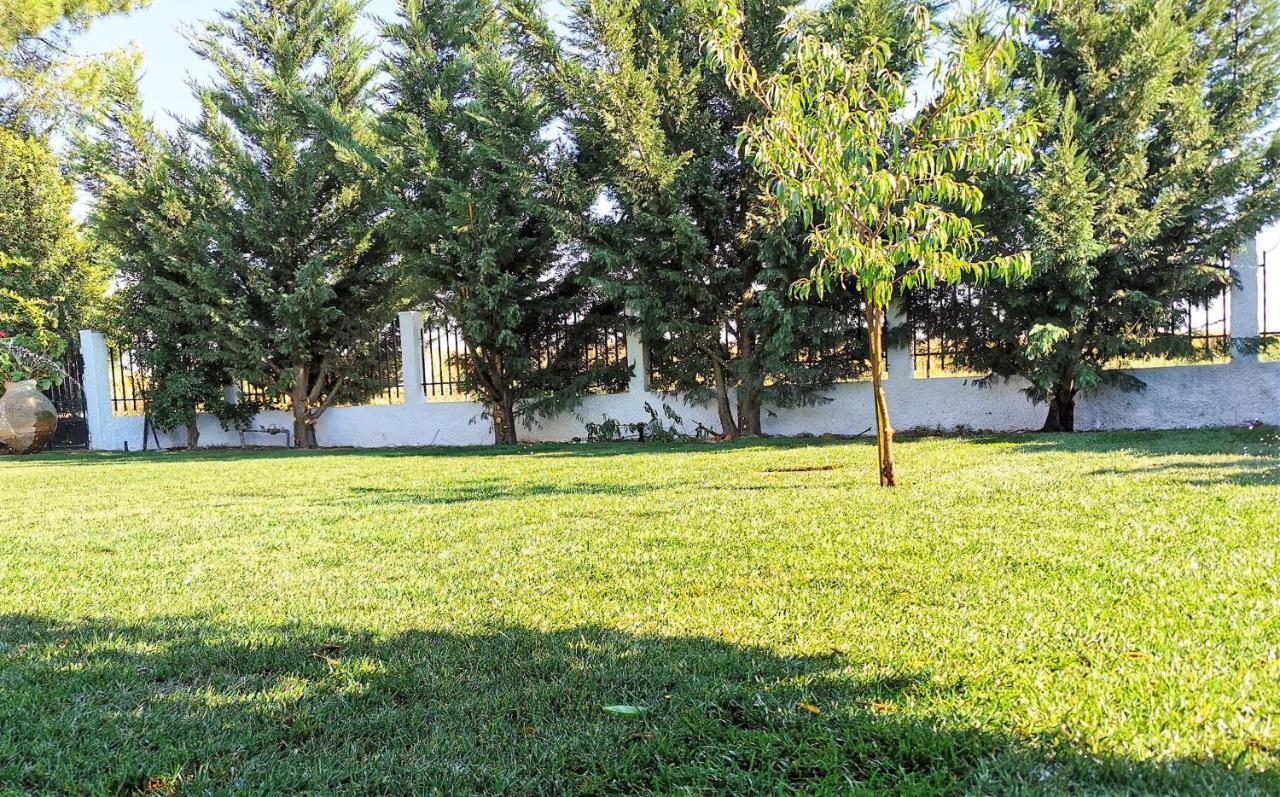 Casa Das Portas Azinhaga Exterior photo